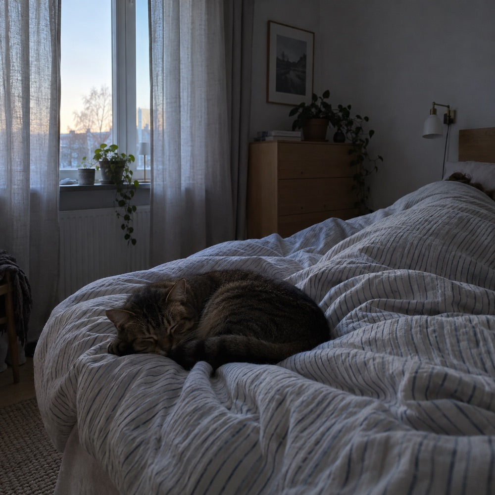 Katt som sover vid fotändan i gryningen